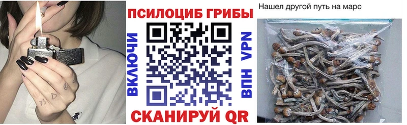 Галлюциногенные грибы Psilocybe Анадырь
